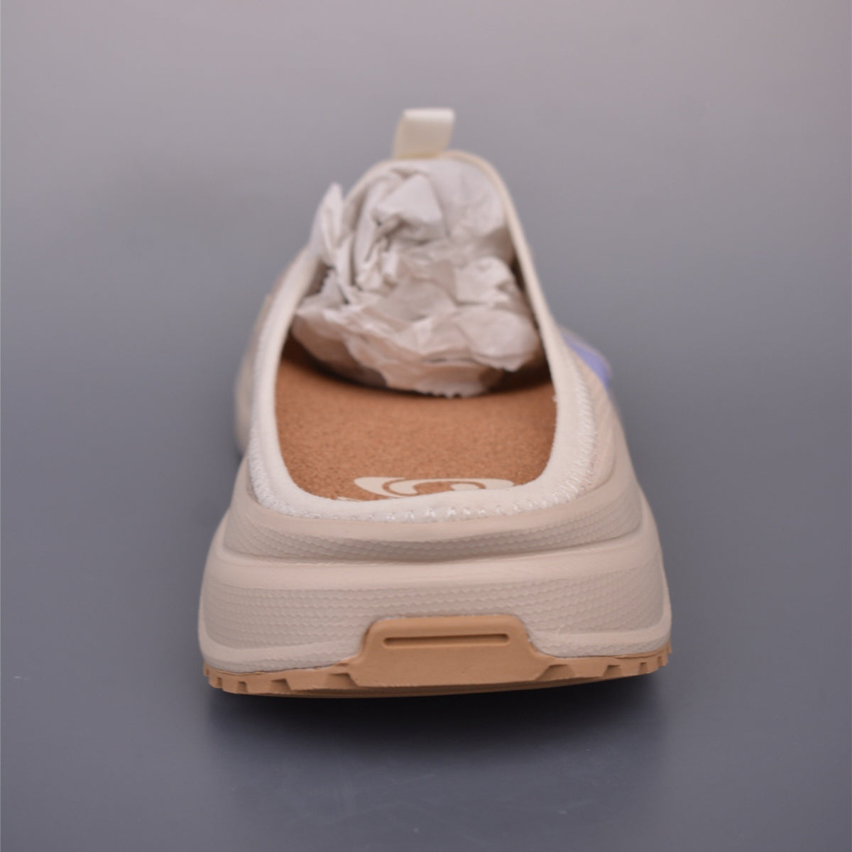 Salomon RX Slide 3.0 Almond Milk L47758100