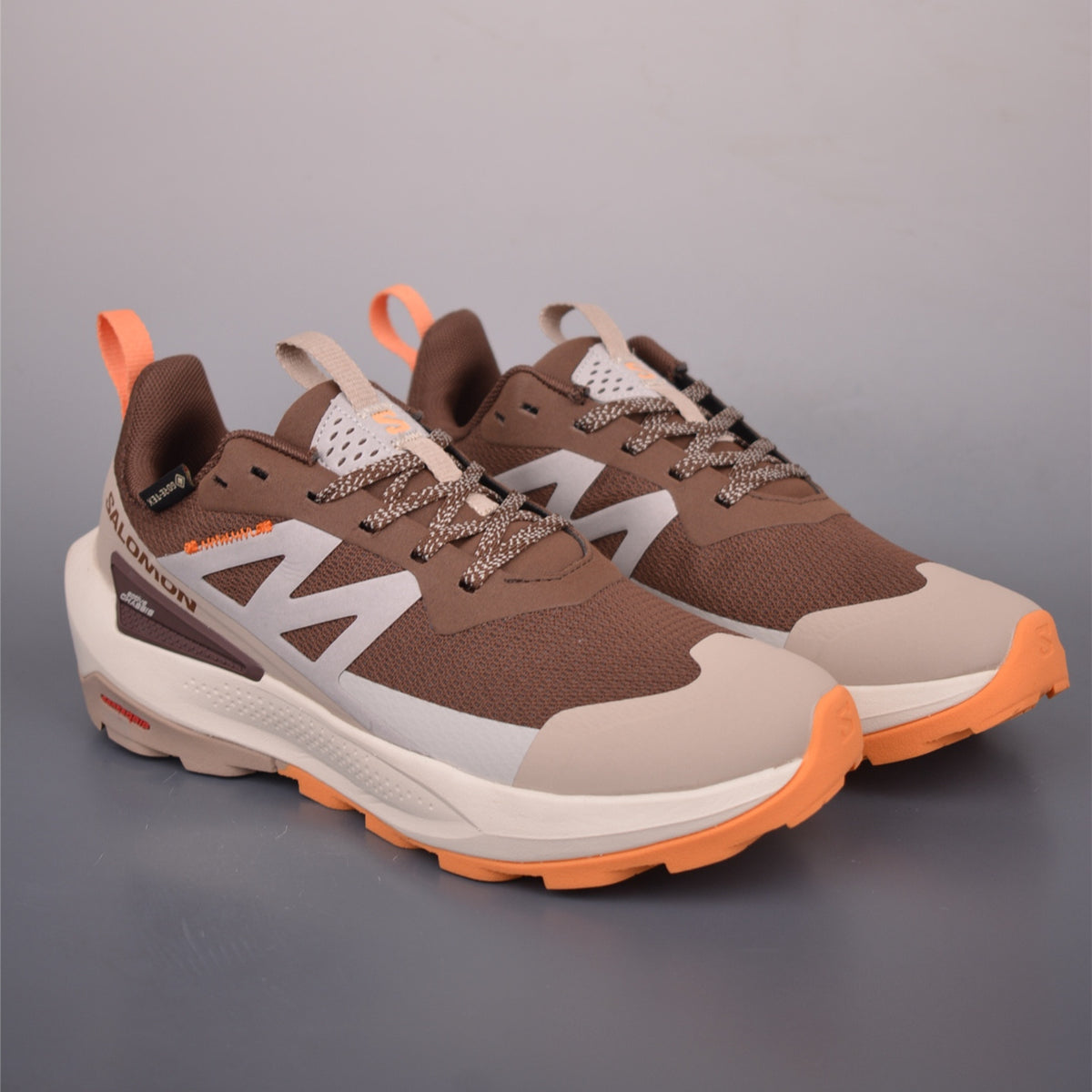 Salomon Elixir Activ GORE-TEX Falcon White Pepper Dragon Fire L47456400