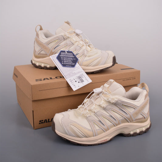 Salomon XA Pro 3D GTX Rainy Day Brown 472434
