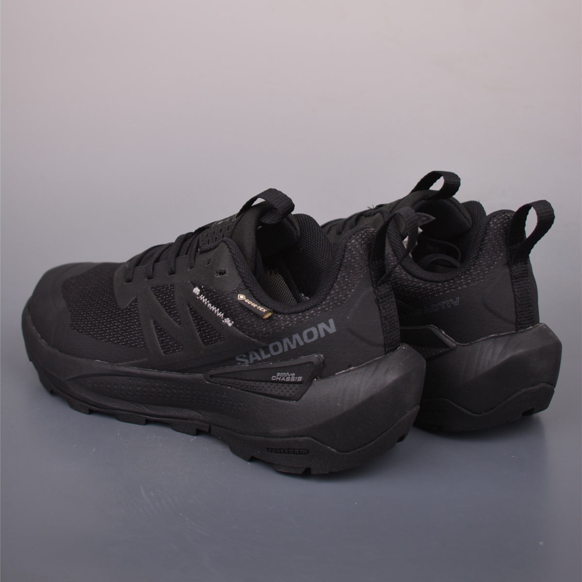 Salomon Elixir Activ GORE-TEX Phantom Black Magnet L47456100