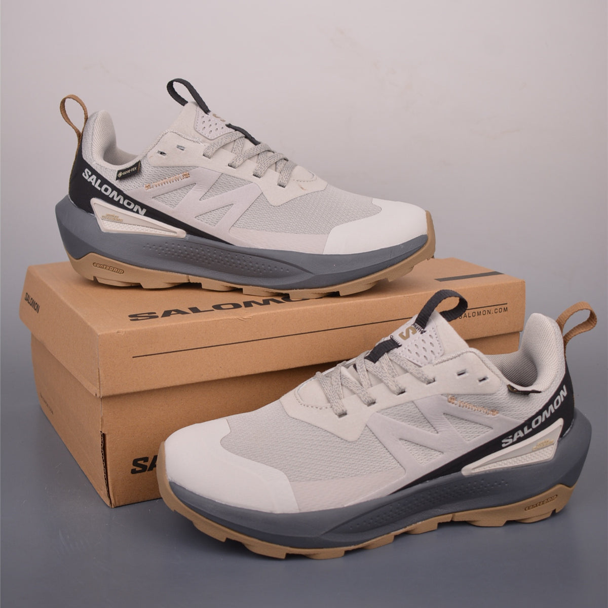 Salomon Elixir Activ GORE-TEX Feather Gray White Beluga L4756040