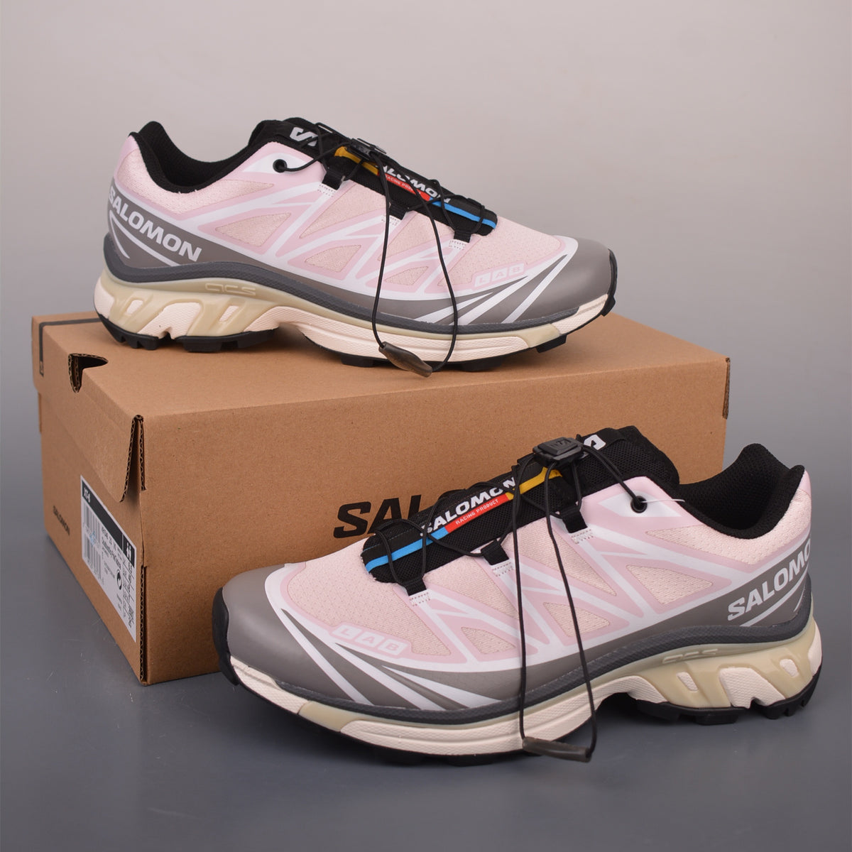 Salomon XT 6 Cloudburst Icy Pink L49154600