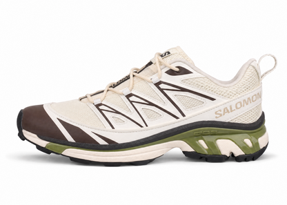 Salomon XT-6 Vanilla Ice Black Coffee Calla Green L47808500
