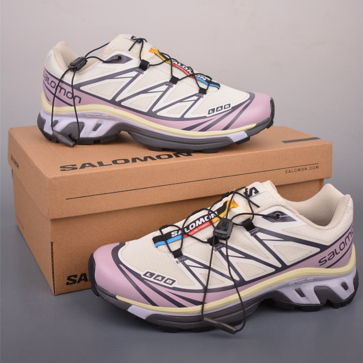Salomon XT-6 GTX Icicle Nirvana L47737600