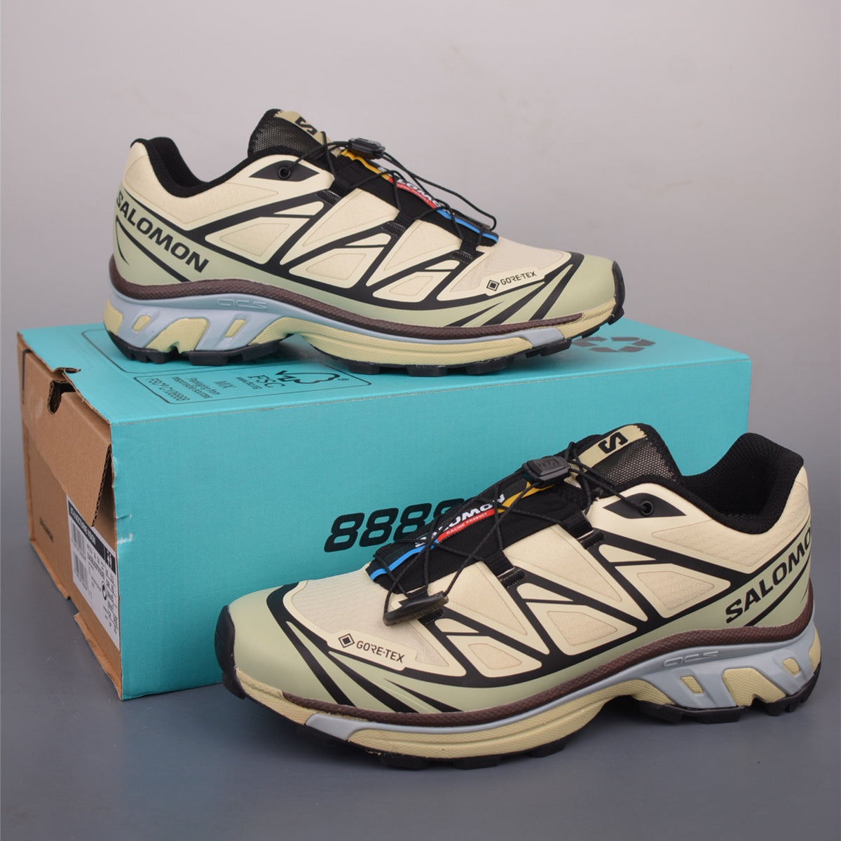 Salomon XT-6 GTX Aspargus Green Tea Chocolate L49202200