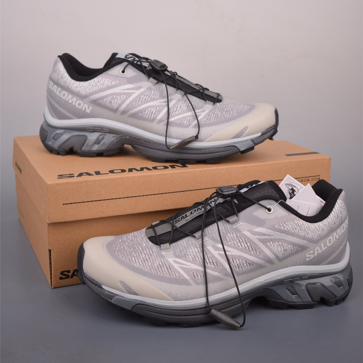 Salomon XT-6 Gull Gray Violet L47873800